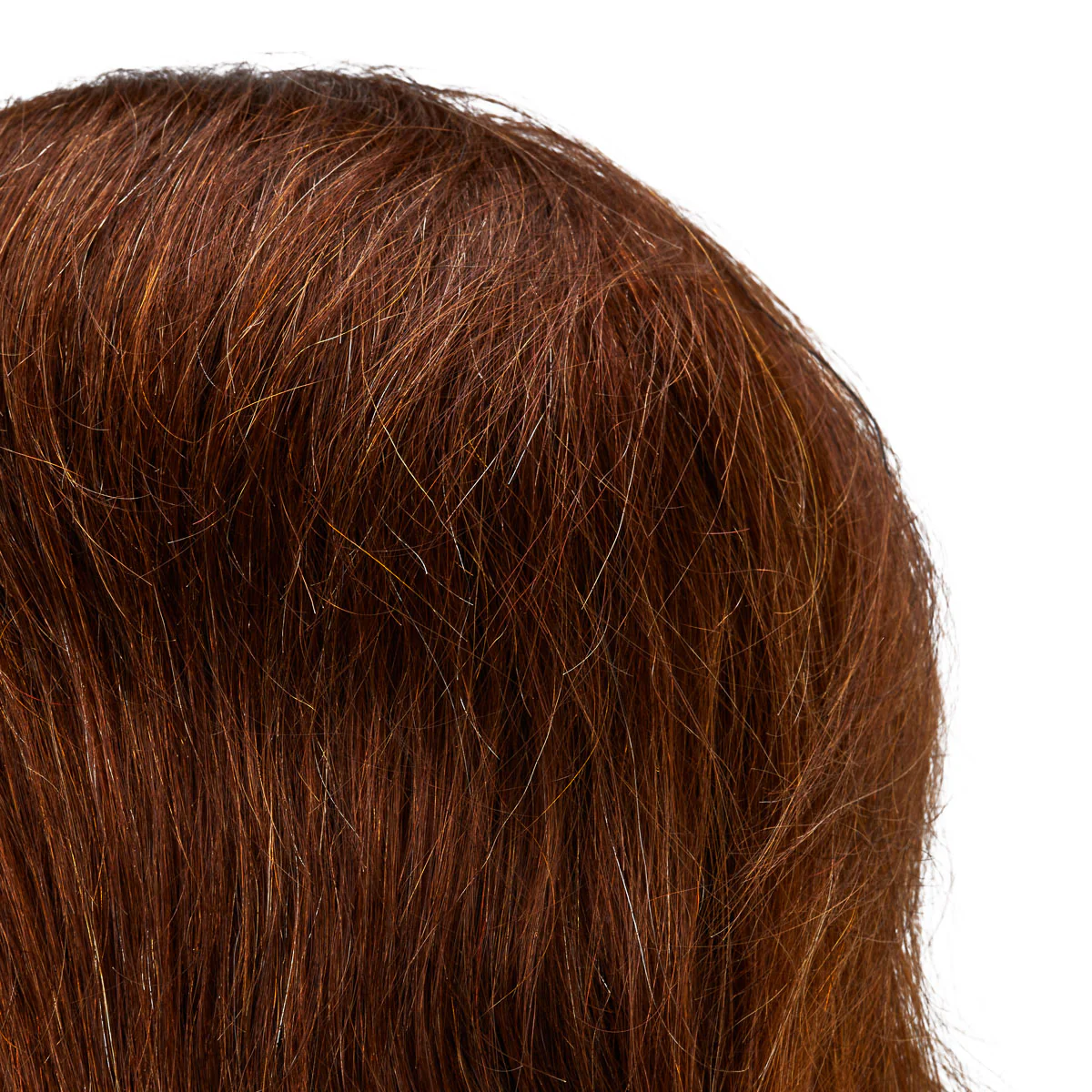 Gabbiano WZ3 Hairdressing Training Head, Natural Hair, Colour 4#, Length 8" - Image 2