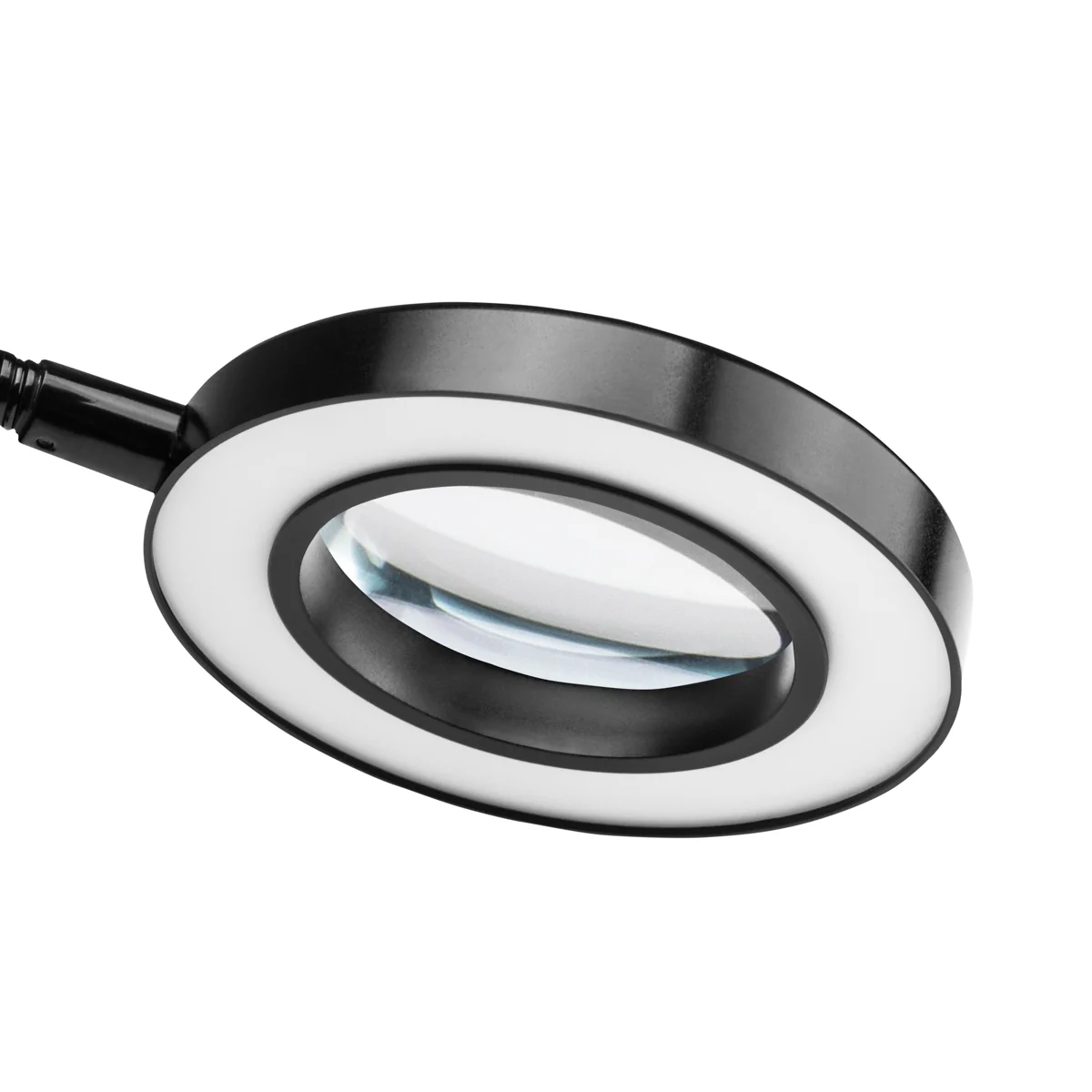 ACTIVESHOP SNAKE RING LED LAMP LAMP ON A DESK BLACK - Image 5